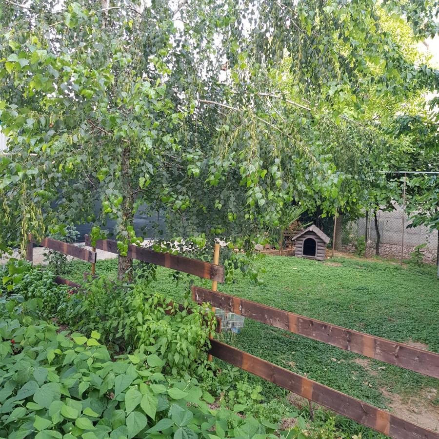 B&B Da Natallia Ronco all'Adige Exterior photo