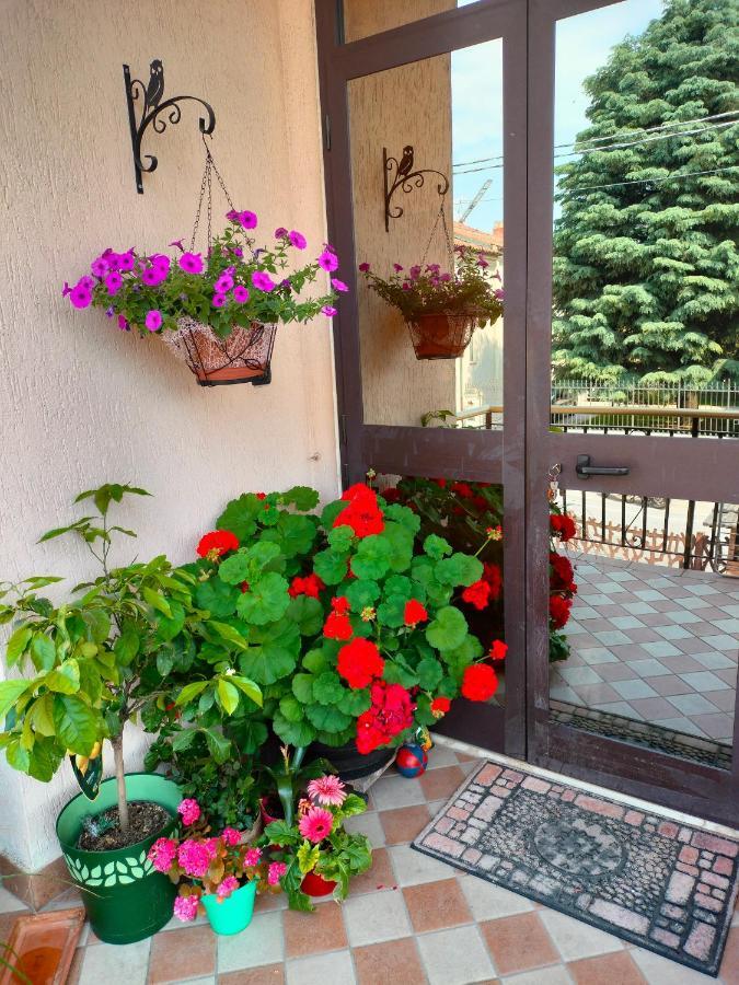 B&B Da Natallia Ronco all'Adige Exterior photo